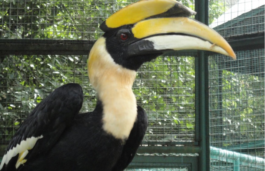 حديقة الطيور في كولالمبور ماليزيا - معلومات ماليزيا - سياحة ماليزيا - اماكن سياحية في ماليزيا
