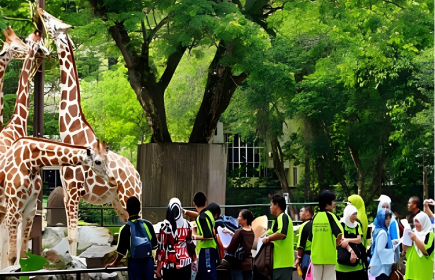 حديقة الحيوان في كوالالمبور - معلومات ماليزيا - سياحة ماليزيا - اماكن سياحية في ماليزيا